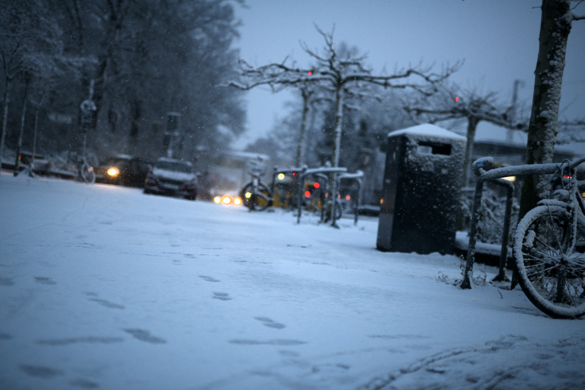 Fahrräder im Schnee in Lüneburg Bahnhof samstags 2026 D80_2049